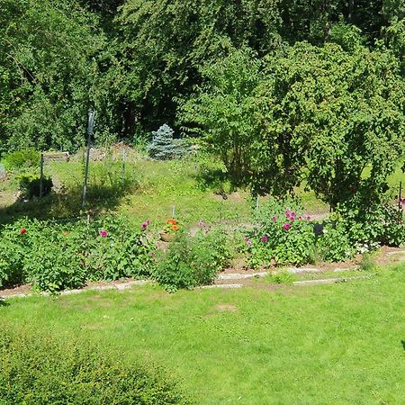 Ferienhaus In Geesthacht-Tesperhude Direkt Am Waldrand Exterior foto