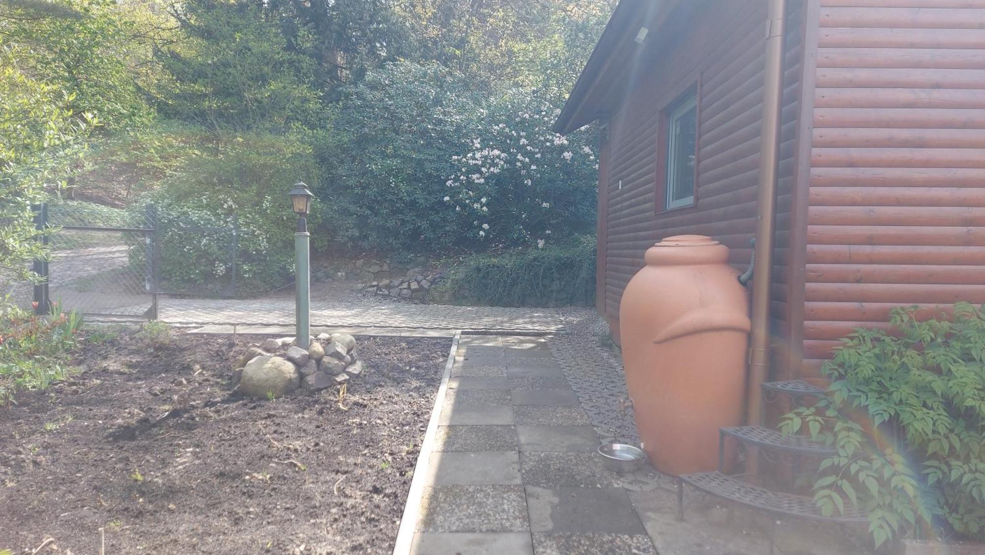Ferienhaus In Geesthacht-Tesperhude Direkt Am Waldrand Exterior foto