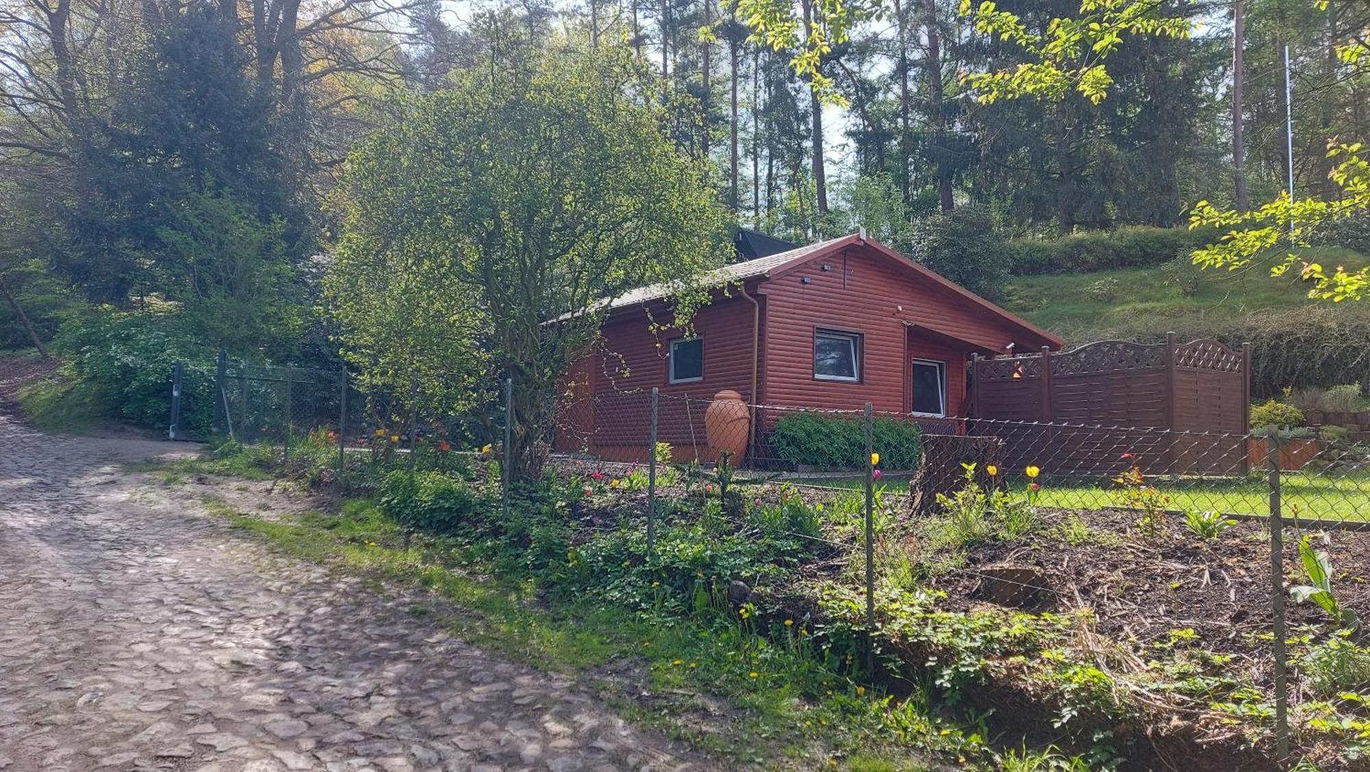 Ferienhaus In Geesthacht-Tesperhude Direkt Am Waldrand Exterior foto