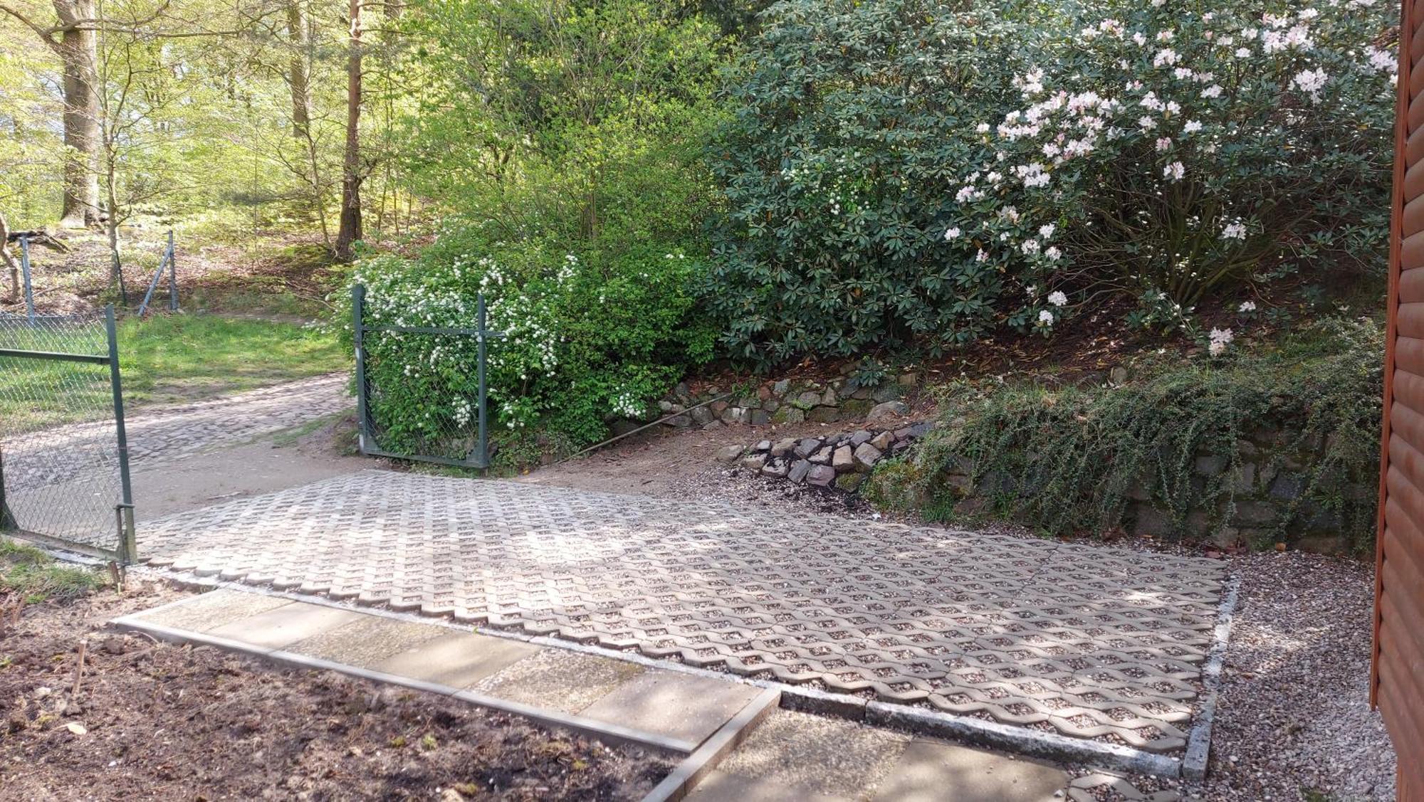Ferienhaus In Geesthacht-Tesperhude Direkt Am Waldrand Exterior foto